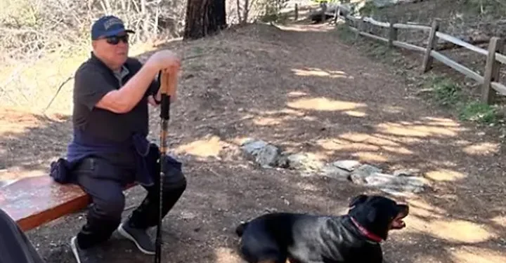 Holocaust Survivor Dies in Fatal Maserati Hit and Run in California