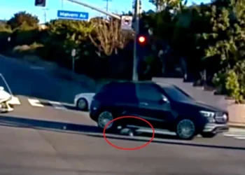 California mother arrested after toddler falls from suv at busy intersection