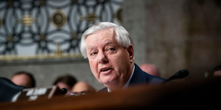 Senator Lindsey Graham Supports Colleagues in Border Patrol Incident Debate
